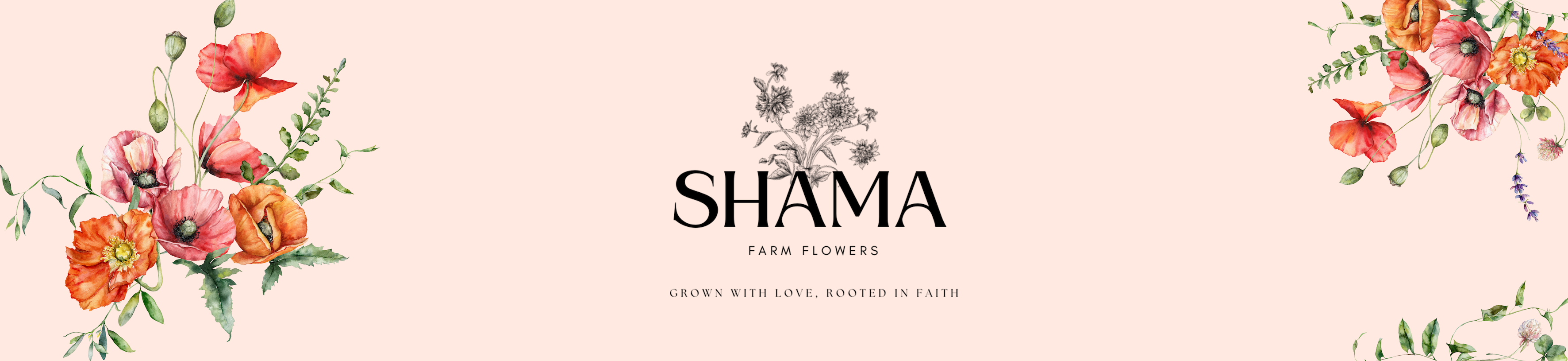 shama-flower-farm-fresh-cut-flowers